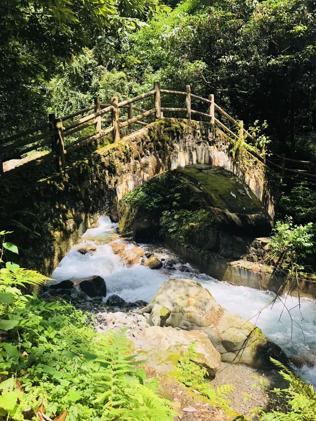 掘地挖宝